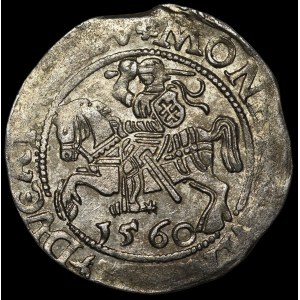 Zygmunt II August, Półgrosz 1560, Wilno - DVX L/LITV - 2 rozety - b. rzadki
