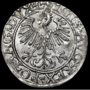 Sigismund II Augustus, Halbpfennig 1561, Vilnius - 13 Adler, L/LITV - schön