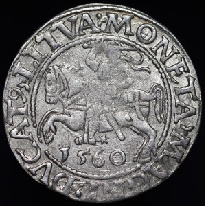 Sigismund II Augustus, Halbpfennig 1560, Wilna - DVX L/LITVA - selten