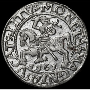 Sigismund II Augustus, Halbpfennig 1561, Wilna - 14 Adler, L/LITV