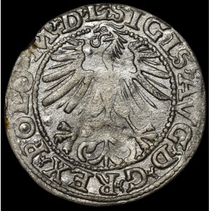 Zygmunt II August, Półgrosz 1563, Wilno - M D L/LITVA - krzyż - b. rzadki