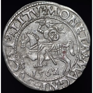 Sigismund II. Augustus, Halbgrosse 1562, Vilnius - 17 Pogoń, L/LITV