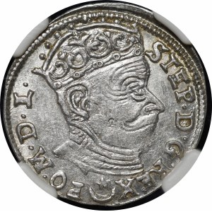 Stefan Batory, Trojak 1582, Wilno - Leliwa pod popiersiem