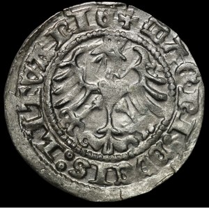 Zygmunt I Stary, Półgrosz 1513, Wilno
