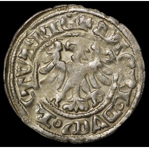 Alexander Jagiellonian, Vilnius half-penny - Gothic - 2nd issue