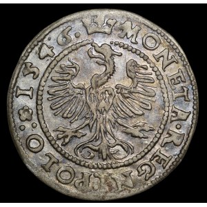 Zygmunt I Stary, Grosz 1546, Kraków - S-T - rzadki i b. ładny