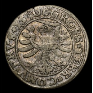Sigismund I the Old, Penny 1530, Torun - TERR COMV - undescribed and very rare