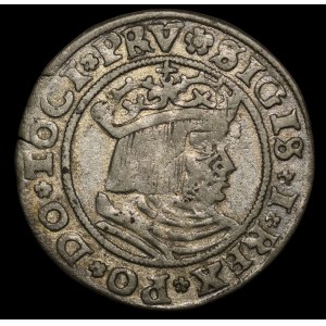 Sigismund I the Old, Penny 1530, Torun - TERR COMV - undescribed and very rare