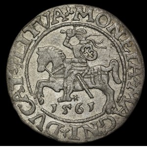 Sigismund II Augustus, Halbpfennig 1561, Wilna - 14 Adler, L/LITVA