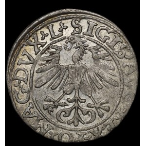 Sigismund II Augustus, Halbpfennig 1561, Wilna - 14 Adler, L/LITVA
