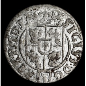 Sigismund III Vasa, Half-track 1623, Bydgoszcz - Saxon in oval shield
