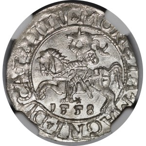 Zygmunt II August, Półgrosz 1558, Wilno - L/LITV - wyśmienity