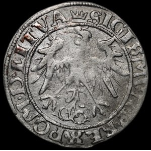 Sigismund I the Old, Penny 1536, Vilnius - letter F - LITVA/LITVA - rare
