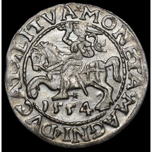 Sigismund II Augustus, Half-penny 1554, Vilnius - LI/LITVA - rare and beautiful