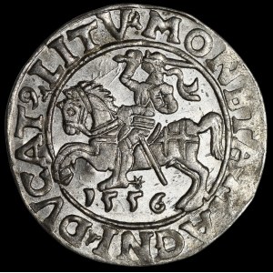 Sigismund II Augustus, Halbpfennig 1556, Wilna - LI/LITV - schön