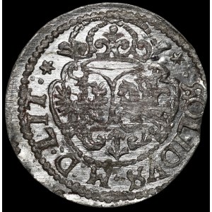 Sigismund III Vasa, 1618 Shelagh, Vilnius - beautiful