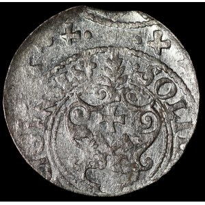 Sigismund III Vasa, 1621 Shelly, Riga