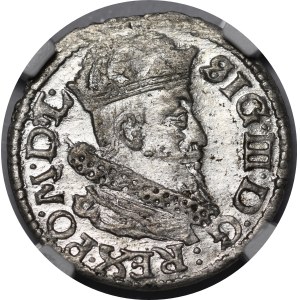 Sigismund III Vasa, Penny 1625, Vilnius