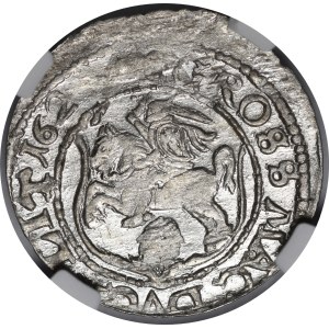 Sigismund III Vasa, Penny 1625, Vilnius