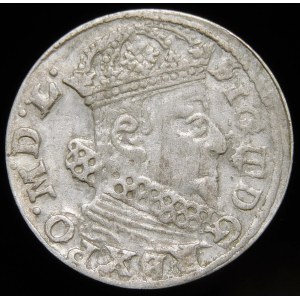 Sigismondo III Vasa, Penny 1626, Vilnius - Pogo nello scudo