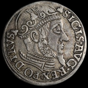 Sigismund II Augustus, Trojak 1557, Gdansk - rare