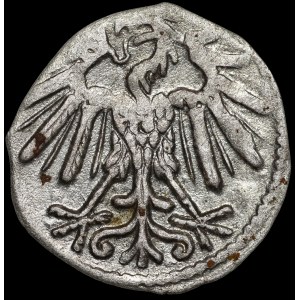 Zygmunt II August, Denar 1548, Wilno - piękny i b. rzadki