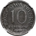 DESTRUKT, 10 fenigów 1917 - niespotykany