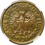 SAMPLE 5 gold 1958 Waryński - brass