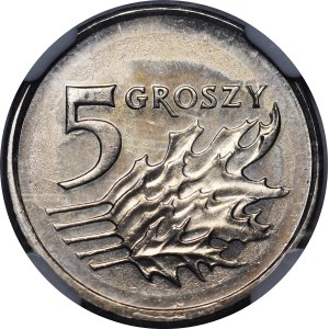 SAMPLE 5 pennies 2006 - Miedzionikiel