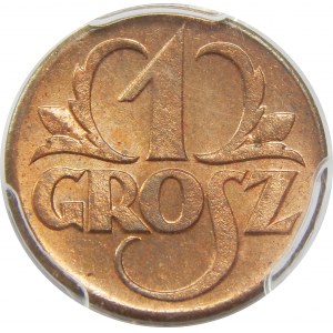 1 grosz 1923 