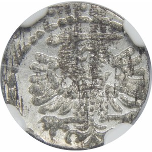 Zygmunt III Waza, Denar Gdańsk 1596 – duże cyfry daty