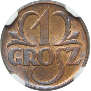 1 grosz 1923 