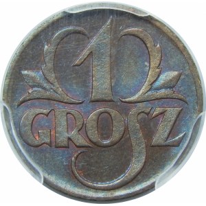 1 grosz 1923 