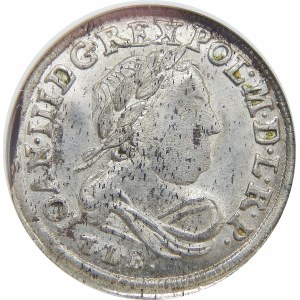 Jan III Sobieski, Szóstak Bydgoszcz 1682 TLB