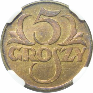 5 groszy 1923 