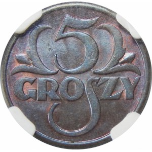 5 groszy 1931 