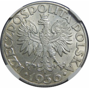 5 złotych 1936 Żaglowiec