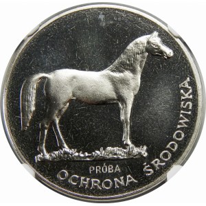 Próba Nikiel 100 złotych 1981 Koń 