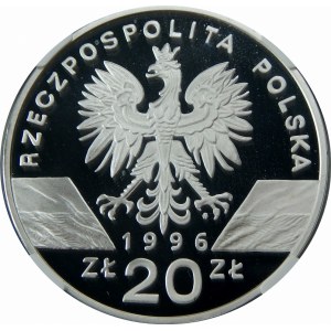 20 złotych 1996 Jeże