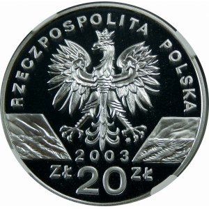 20 złotych 2003 Węgorz