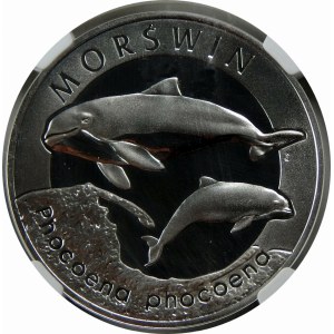 20 złotych 2004 Morświn