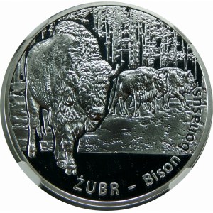 20 złotych 2013 Żubr 