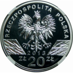 20 złotych 2013 Żubr 