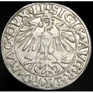 Sigismund II Augustus, Half-grosz, 1550, Vilnius - LI/LITVA - beautiful