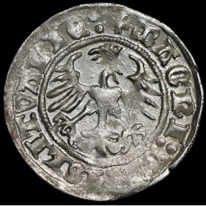 Sigismund I the Old, Half-grosz, 1512, Vilnius—no mark—rare