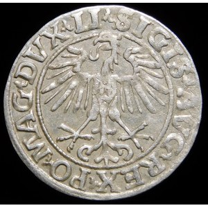Sigismond II Auguste, demi-groat de 1551, Vilnius - LI/LITVA