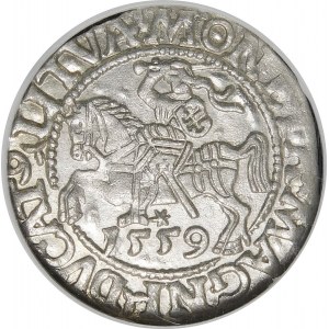 Sigismund II Augustus, Half-Grosz, 1559, Vilnius - L/LITVA - beautiful