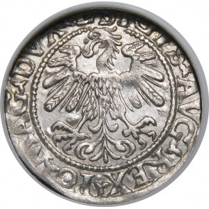 Sigismund II Augustus, Half-Grosz, 1559, Vilnius - L/LITVA - beautiful