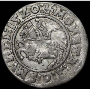 Sigismond Ier le Vieux, demi-groat de 1520, Vilnius - deux points