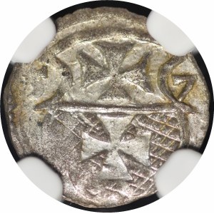 Sigismund II Augustus, Denar, 1557, Elbląg—beautiful